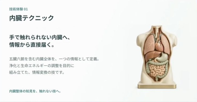 内臓テクニックを臓器の図とともに紹介する動画画面